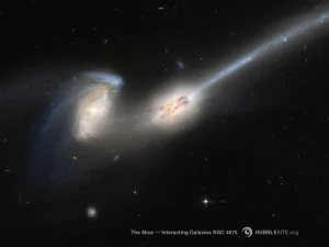 کهکشانهای موش