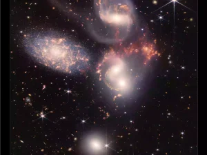 Front only, Large (27 x 40 inches, For Print)