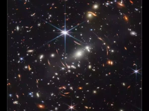 Front only, Medium (18 x 24 inches, For Print)(1)