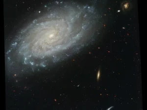 spiral gallaxy ngc 3370 __result