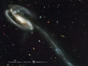 کهکشان دم وزغی